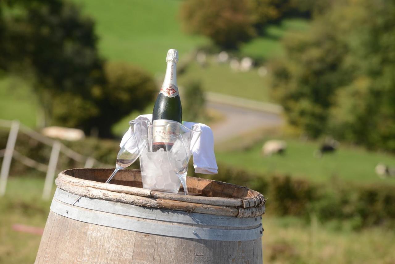 Herve Les Coteaux Du Vinave B&B 외부 사진